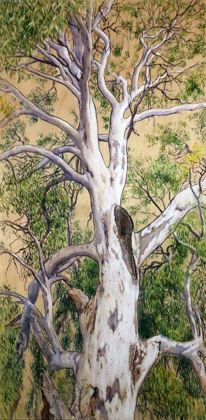 Venus of Chalk Hill, December 2024 - Watercolour on wood - Julia Wakefield