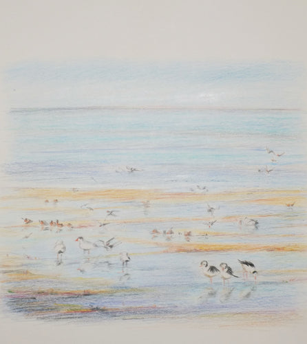 Greeting Card - Wading birds - Erica McNicol