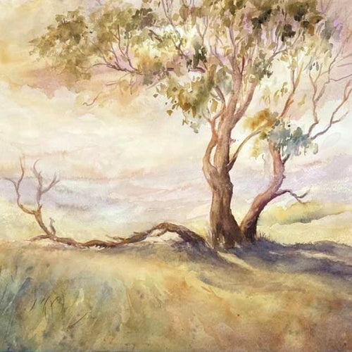 Watercolour Fundamentals and Beyond with Robin Hicks: Friday  August 1 - 29; 10am-1pm.
