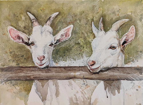 You goat this! - Acrylic on canvas - Sarah Charlotte
