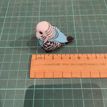 Load image into Gallery viewer, Articulated 3D printed blue and white Budgerigar