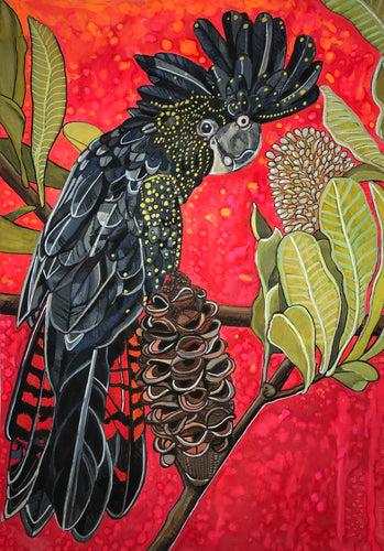 Organic Cotton Tea Towel - Mr Red tailed black cockatoo - Katie Sandison