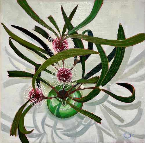 Hakea, in Marissa’s jug - Oil on canvas - Emma Swift Kirkman