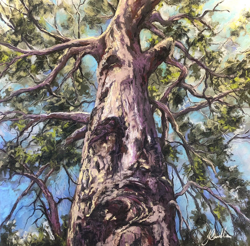 In the tree-tops - soft pastel on card - Julianne Caville