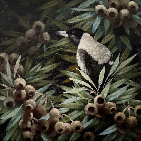 Magpie Study 1 - Oil and enamel paint  - Lisa Losada