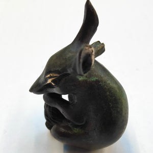 Bronze Sculpture -Numbat- 14/50 by Silvio Apponyi