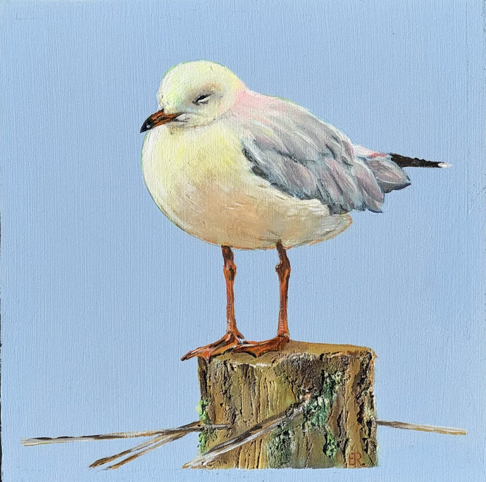 Perched - Acrylic on wooden board - Evelynne Richardson