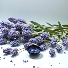 Load image into Gallery viewer, Velvet Night Mini Bowl - Rachel Buxton