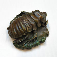 Load image into Gallery viewer, Giant Burrowing Cockroach - bronze sculpture by Silvio Apponyi