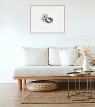 Load image into Gallery viewer, Squirrel Glider Ed. 3 of 10 -Framed, Giclée on paper - Mandy Foot