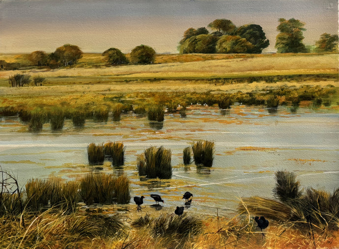 Waters edge South East South Australia -Gouache on arches- Rod Bax