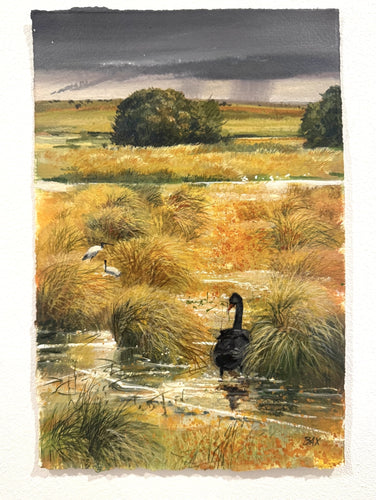 Wetlands Sketch 1 - Gouache on arches- Rod Bax