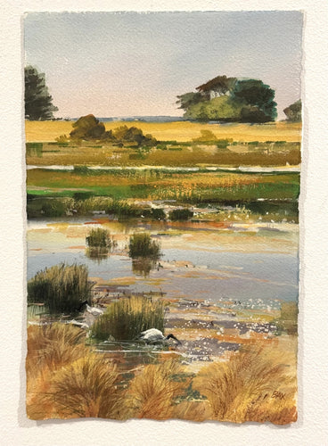 Wetlands Sketch 2 - Gouache on arches- Rod Bax