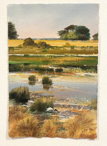 Wetlands Sketch 2 - Gouache on arches- Rod Bax