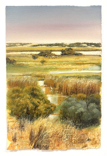 Wetlands Sketch - Gouache on arches- Rod Bax