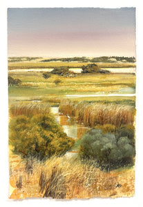 Wetlands Sketch - Gouache on arches- Rod Bax