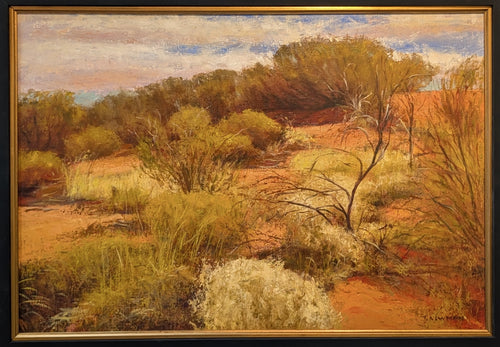 Where the sand is red - Oil - Trevor Newman