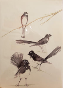 Greeting Card - Willie Wagtails - Paula Schetters-Homewares-Atelier Crafers 