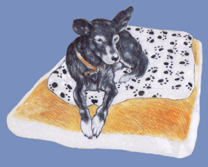 Greeting Card - 'My Old Dog'-Homewares-Atelier Crafers 