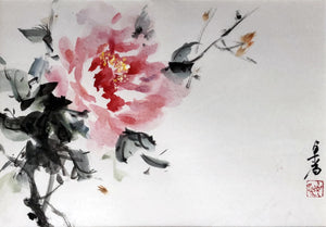 Peony - Watercolour - Zhuo Wei Krstic