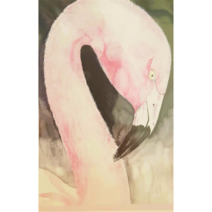 Greeting Card - The Greater Flamingo - Paula Schetters-Stationery-Atelier Crafers 