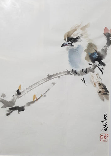 Jacko - Watercolour - Zhuo Wei Krstic