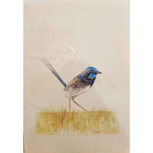 Greeting Card - Superb Fairy Wren-Homewares-Atelier Crafers 