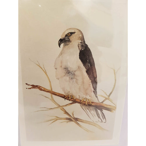 Greeting Card - Black Shouldered Kite - Paula Schetters-Stationery-Atelier Crafers 
