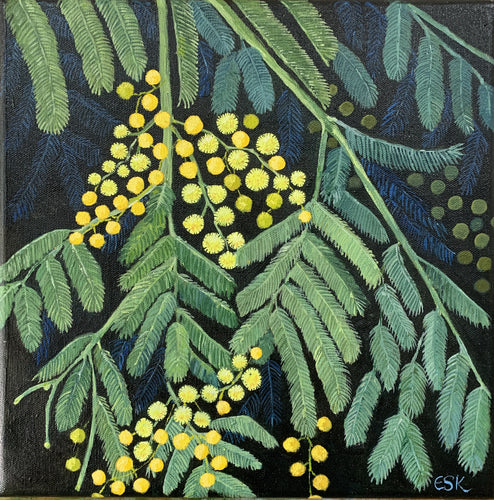 Acacia - Oils on canvas - Emma Swift Kirkman