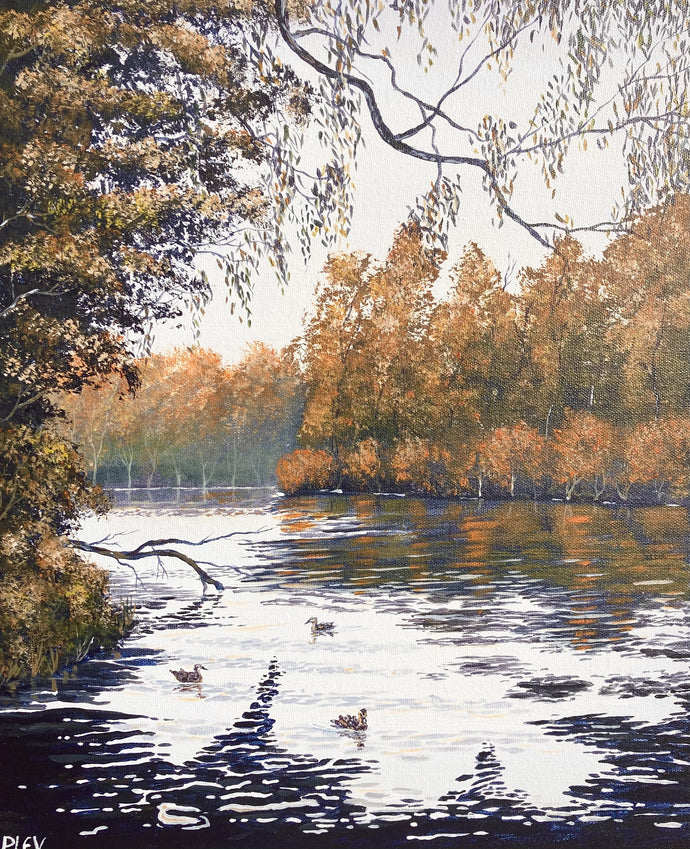 Autumn Reflections- Acrylic on canvas - Joel Plevin