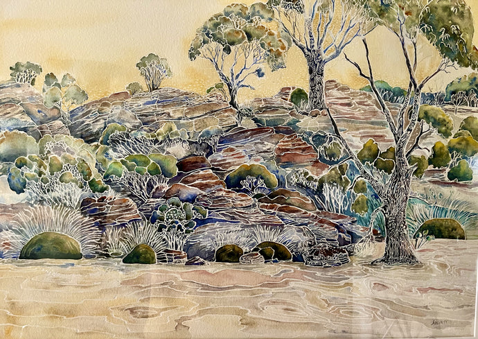 Barnett's Gorge in the Kimberley - Andrea Wyatt