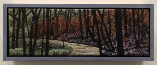 Belair Park, After the Fire - oil on cotton - Rodney Kirk