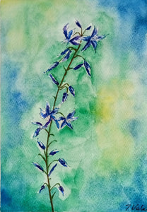 Bluebells - watercolour on archival paper - Tracey Vale