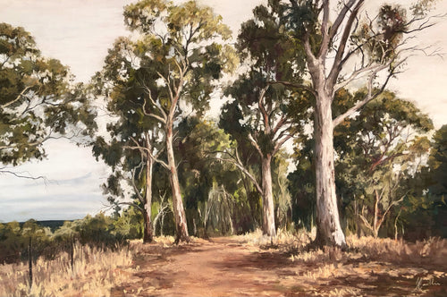 The Cedars, Hahndorf - Soft pastel on sanded card - Julianne Caville