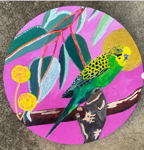 Mr Budgie - acrylic on canvas - Katie Sandison