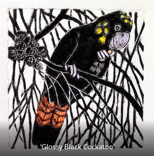 Greeting Card - Glossy Black Cockatoo
