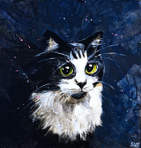 Starry Cat - Acrylic on canvas - Sarah Charlotte