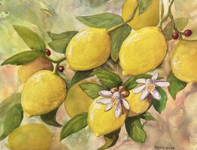 Lemon Blossom - Watercolour - Robin Hicks