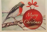 Christmas Card - Red Capped Robin - Paula Schetters