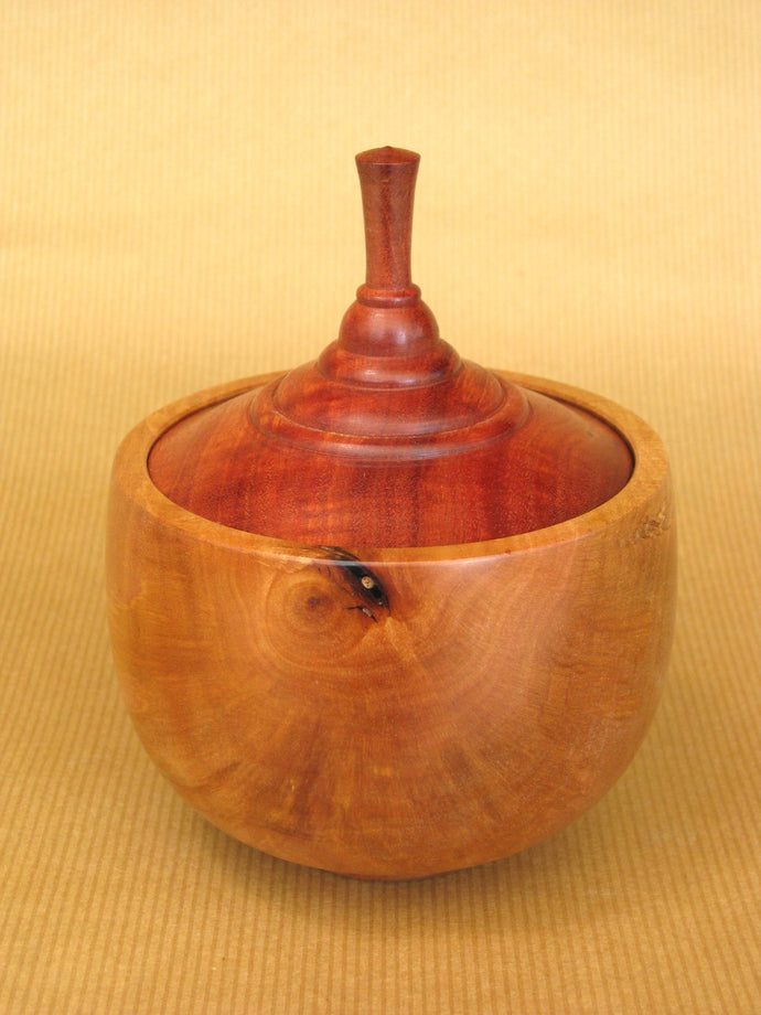 Native Cherry & Red Gum lidded pot