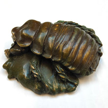 Load image into Gallery viewer, Giant Burrowing Cockroach - bronze sculpture by Silvio Apponyi