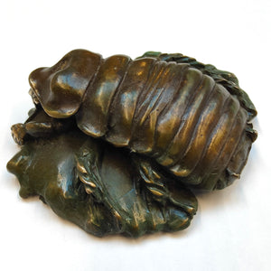 Giant Burrowing Cockroach - bronze sculpture by Silvio Apponyi