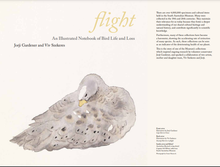 Load image into Gallery viewer, Flight -An Illustrated Notebook of Bird Life and Loss