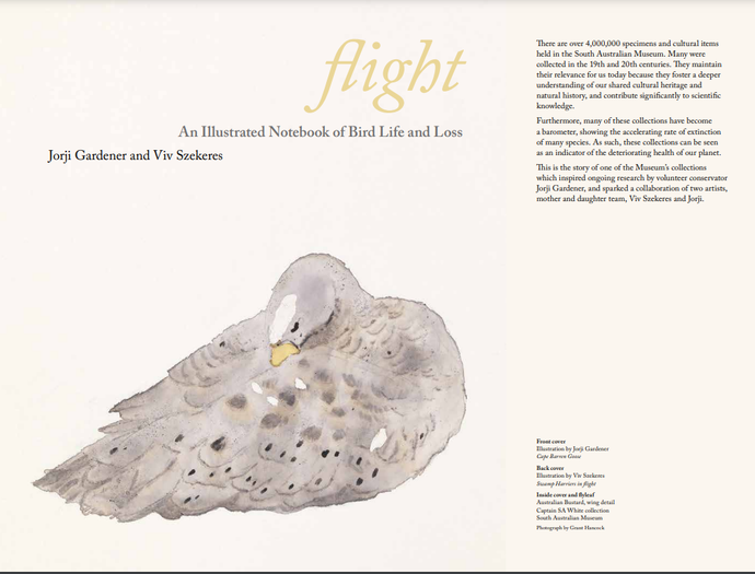 Flight -An Illustrated Notebook of Bird Life and Loss