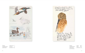 Flight -An Illustrated Notebook of Bird Life and Loss