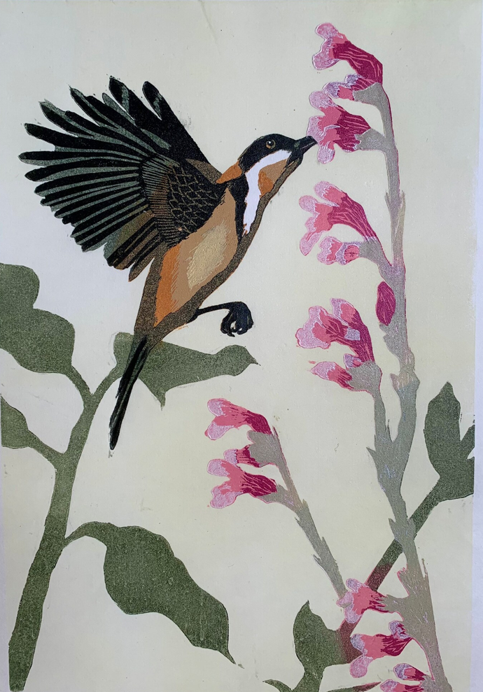 Spinebill and Salvia - Reduction Lino Print - Limited edition 1/9 - Emma Kirkman