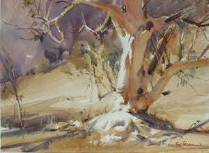 Ormiston Gorge, NT - Watercolour - Ross Paterson