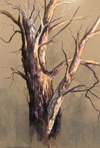 Tree Study 1 -soft pastel on card - Julianne Caville