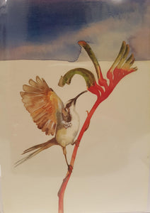 Greeting Card - Honeyeater and Kangaroo Paw-Homewares-Atelier Crafers 