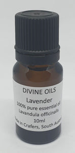 Lavender 100% Pure Essential Oil 10ml - Divine Oils-Bath & Body-Atelier Crafers 